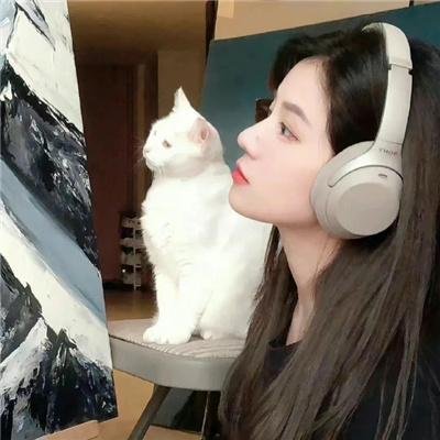 当狗爱上猫粤语